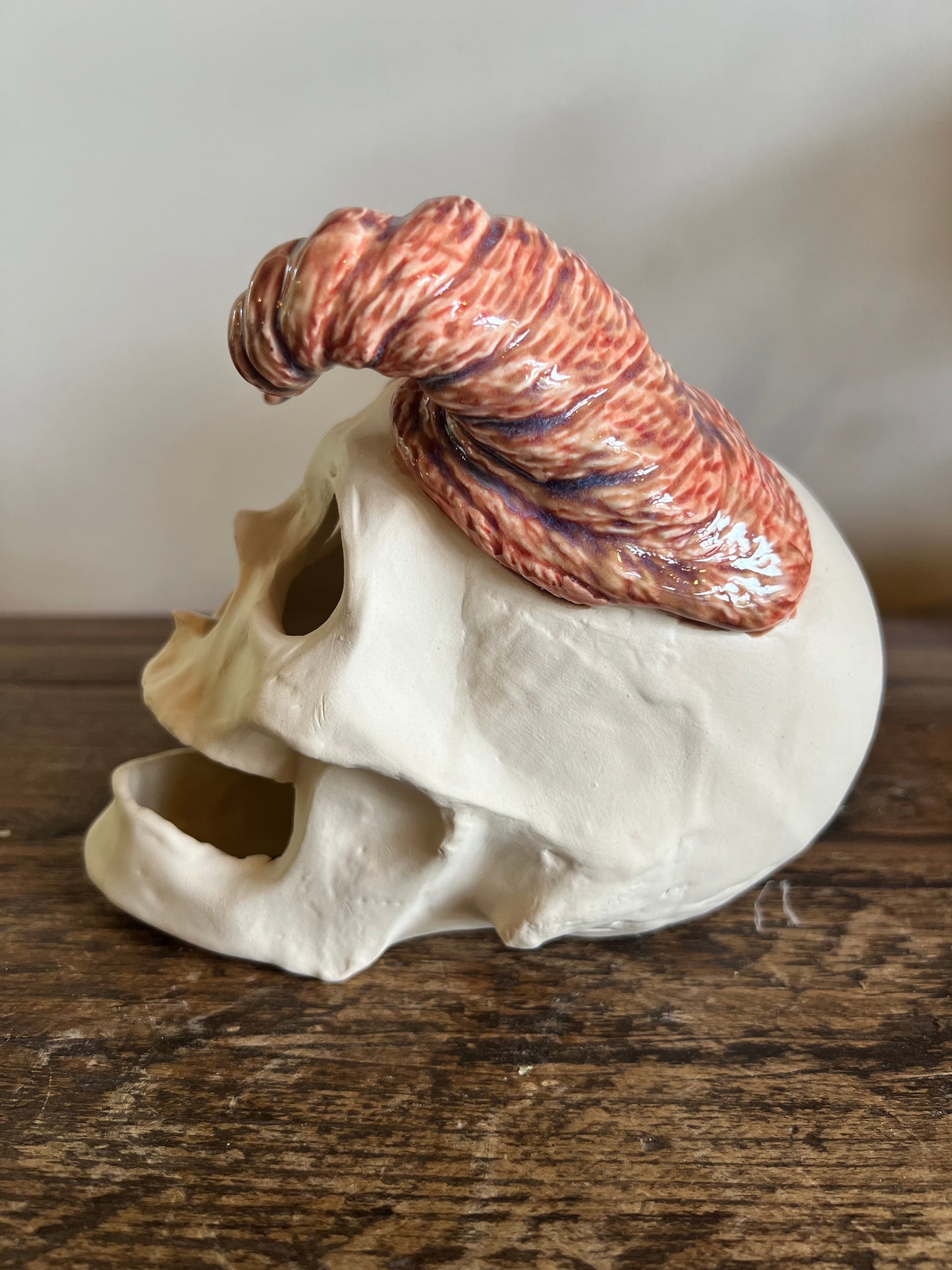 Ceramic Skull with horns
