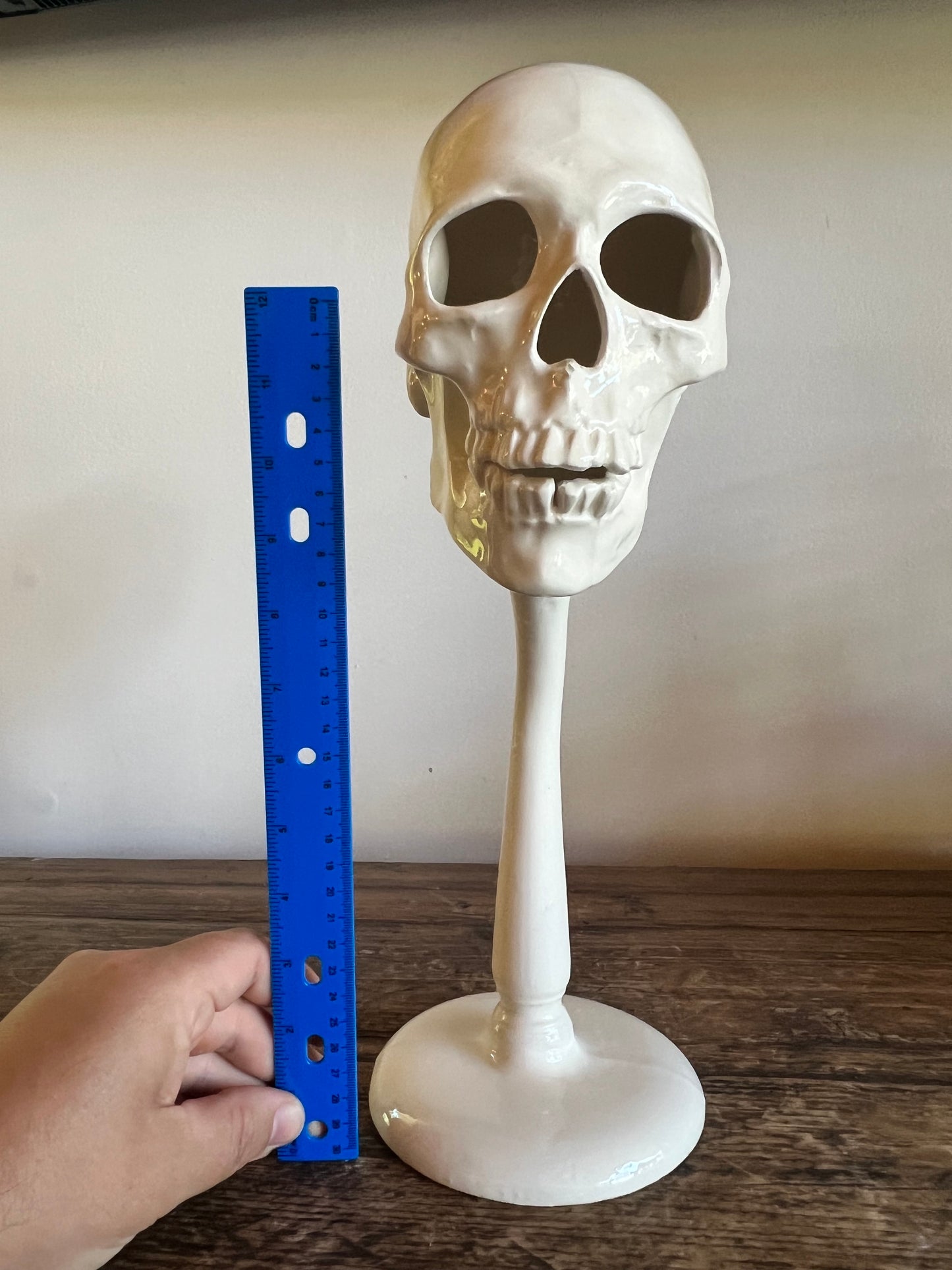 14.5” skull decoration