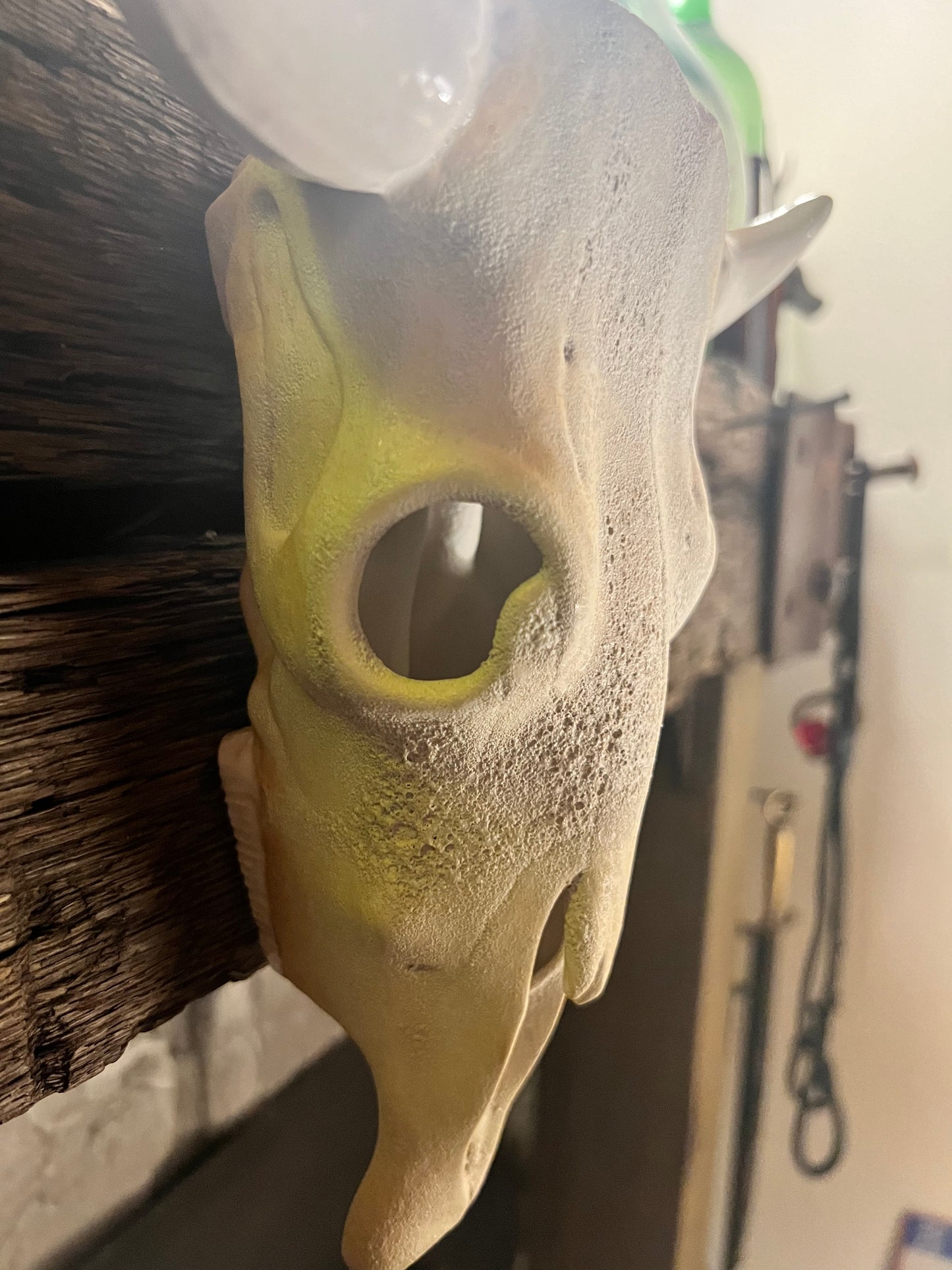 Ceramic Cow Skull