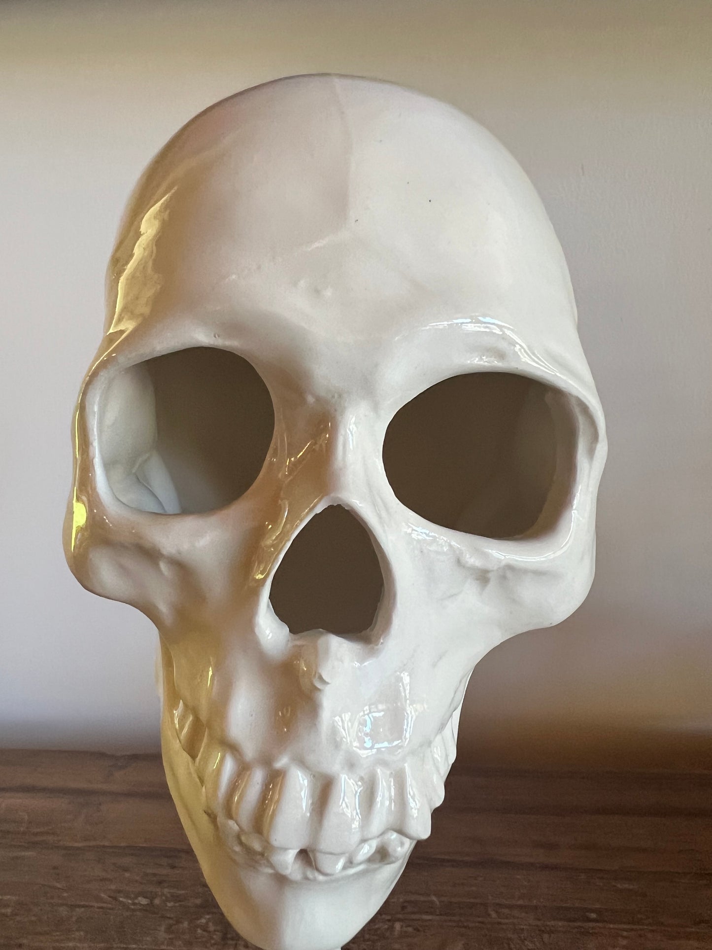 14.5” skull decoration