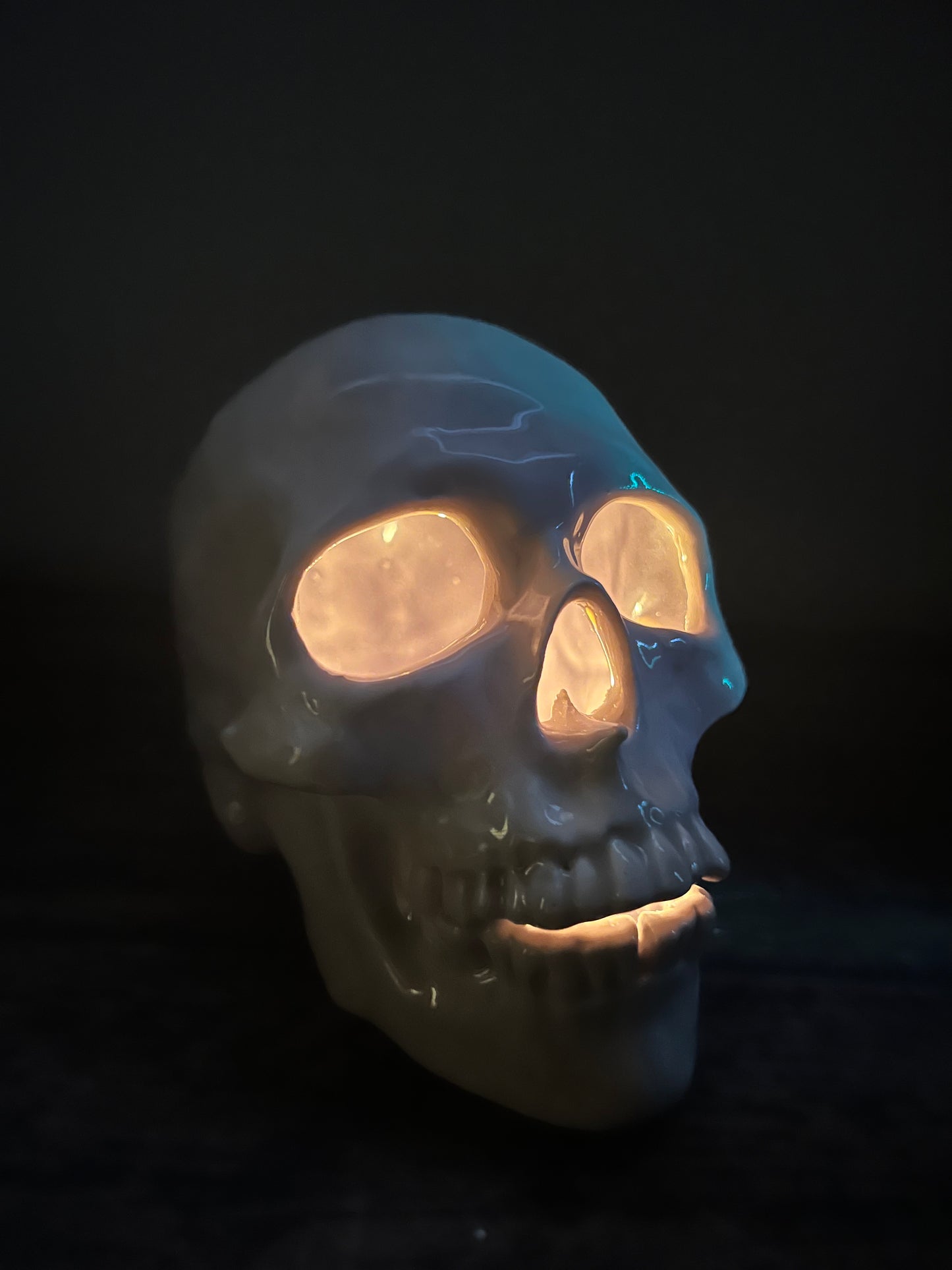 Skull - ceramic