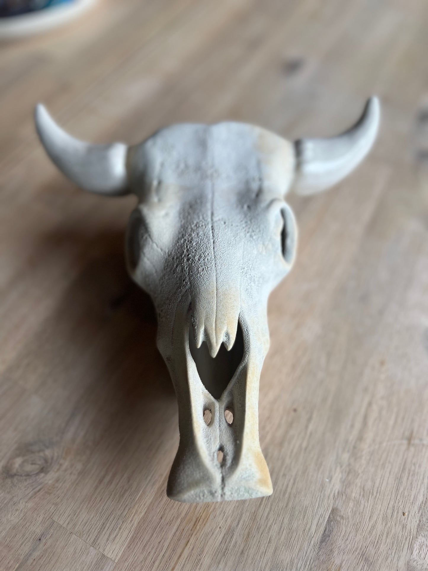 Ceramic Cow Skull