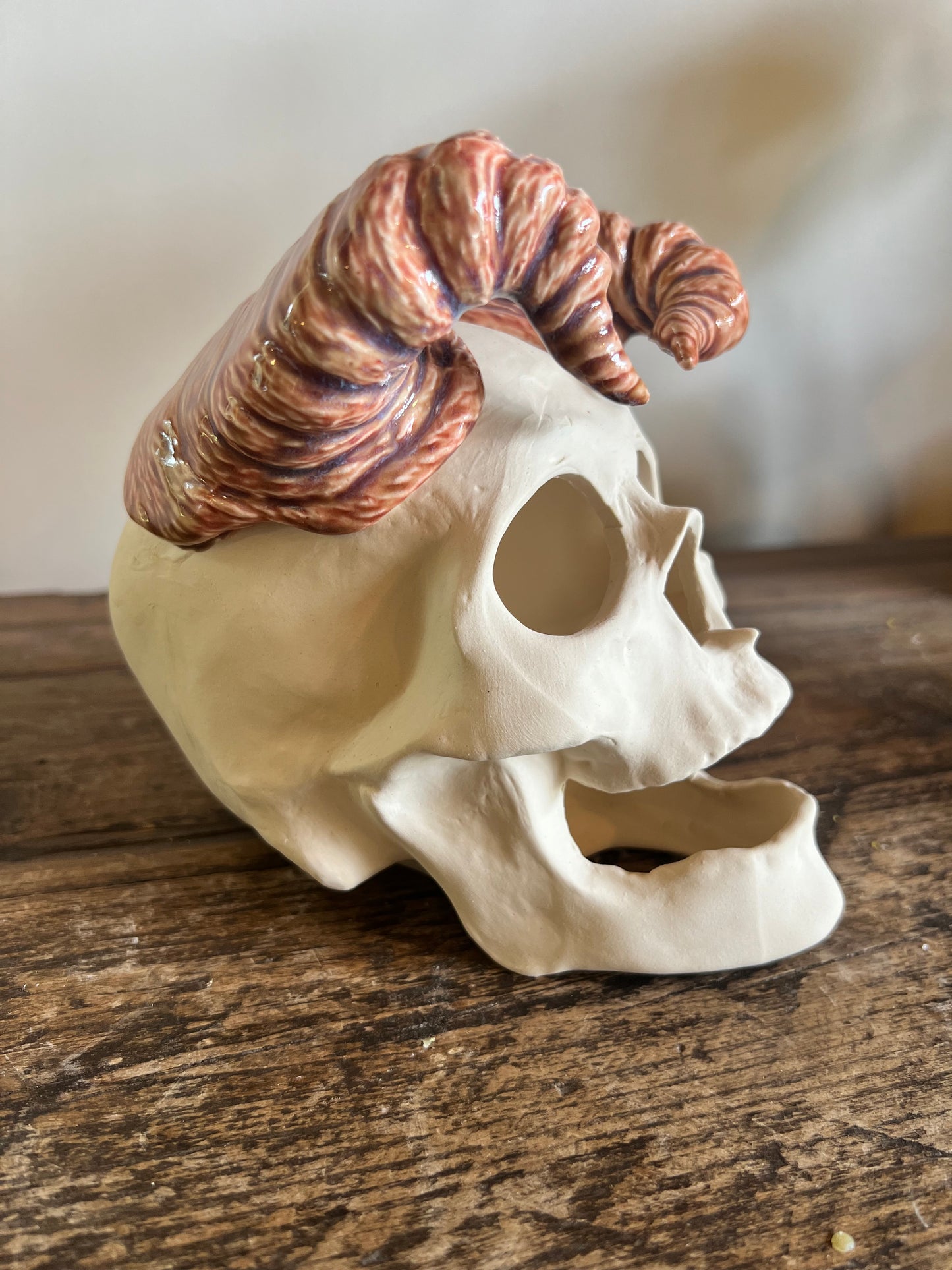 Ceramic Skull with horns