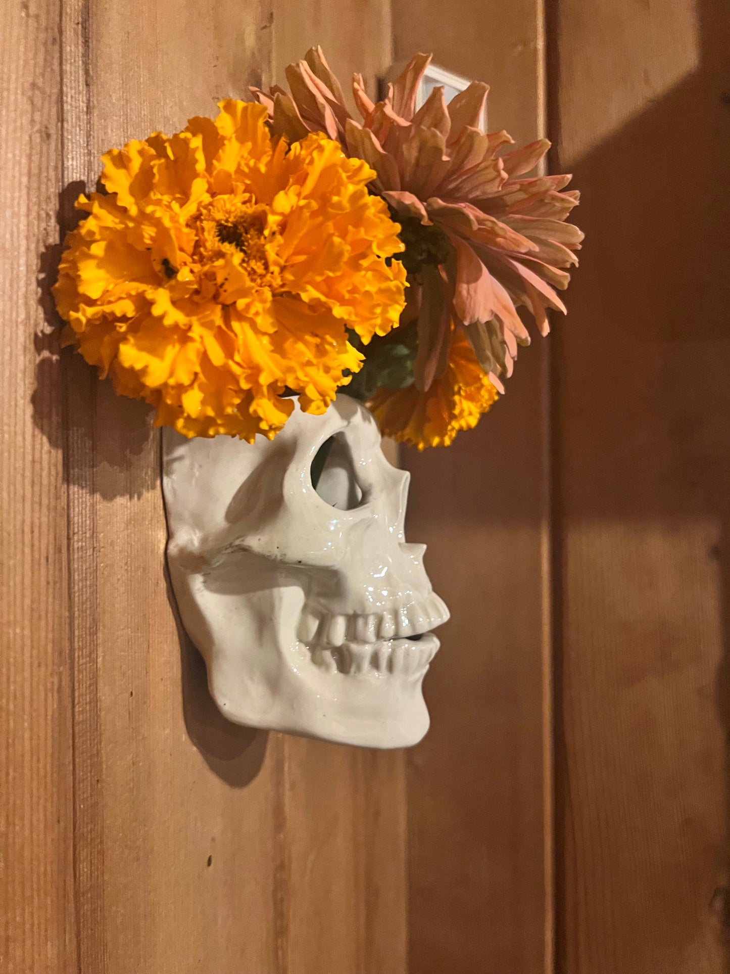 Ceramic Skull Sconce / wall vase