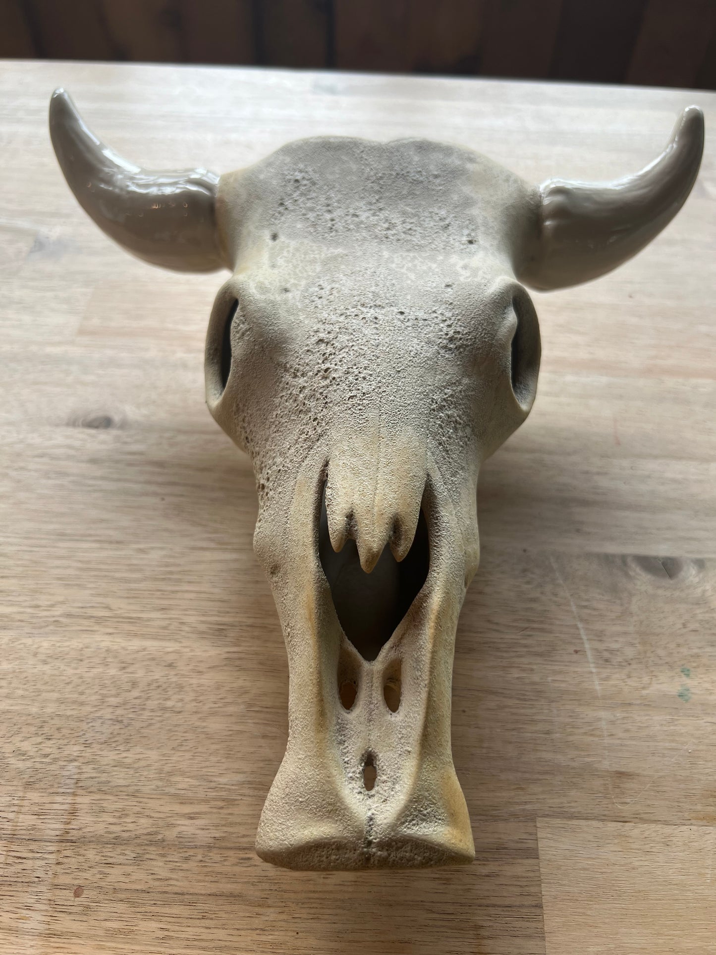 Ceramic Cow Skull