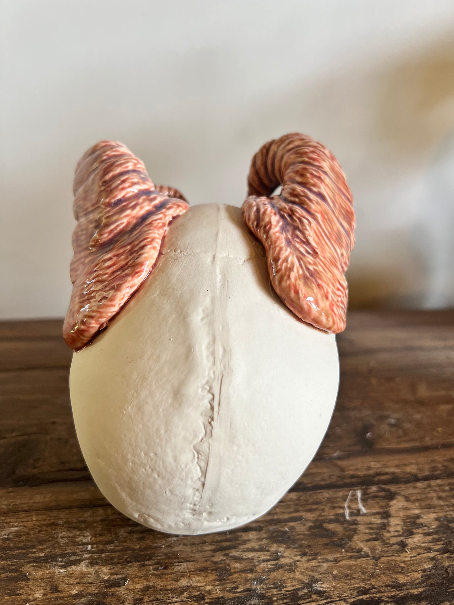 Ceramic Skull with horns