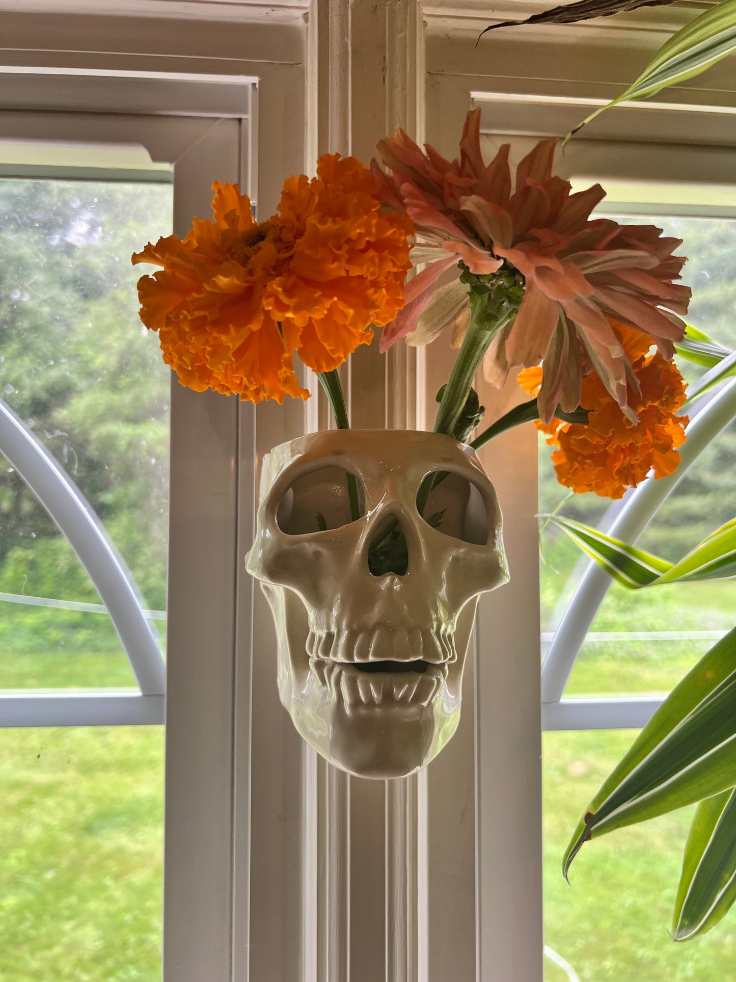 Ceramic Skull Sconce / wall vase