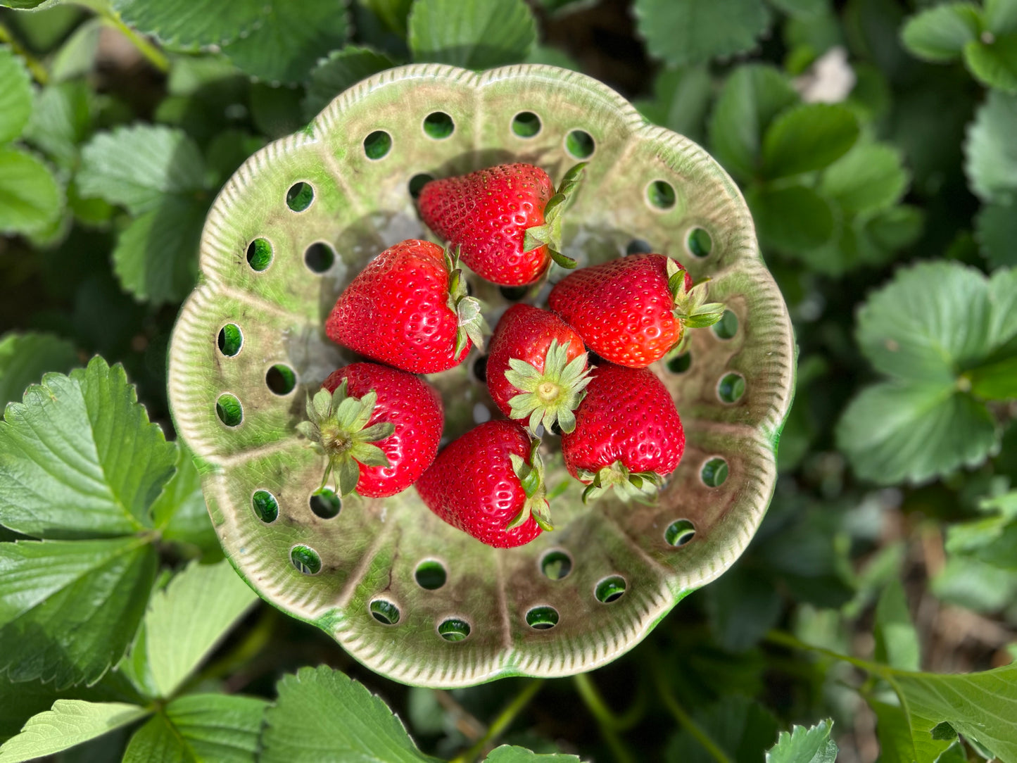 Ceramic Berry Bowl