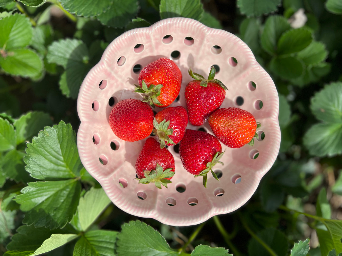 Ceramic Berry Bowl