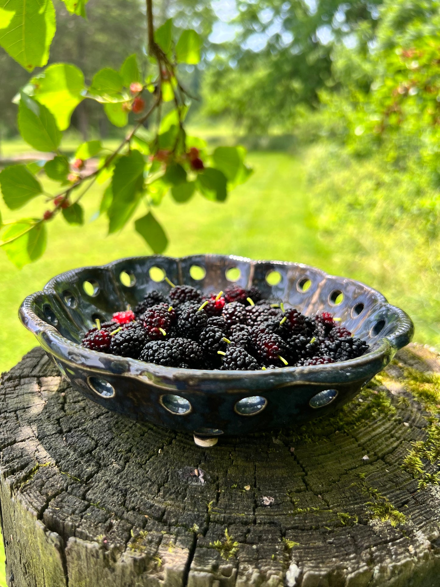 Ceramic Berry Bowl